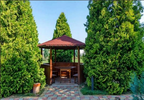 Landscaped Gardens